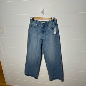 PacSun Casey Low Rise Baggy Jeans